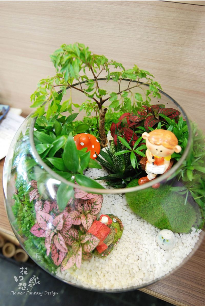 組合植物玻璃圓缸造景Plants in Fishbowl