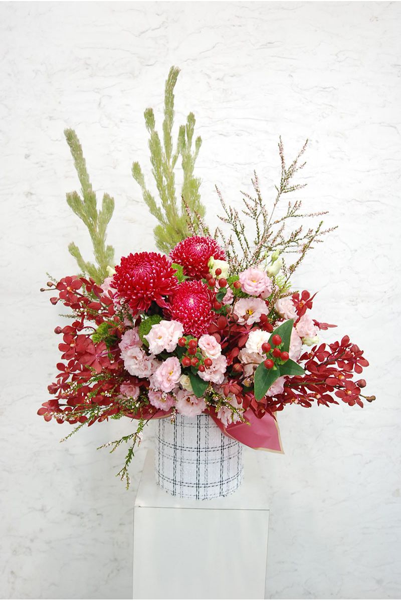 喜慶祝壽盆花Celebrating Flower
