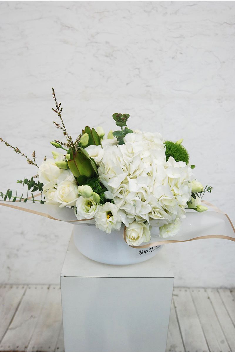 白綠色系高雅盆花Elegance