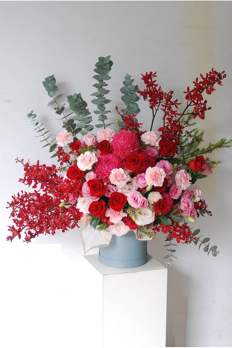喜慶盆花Celebrating Flower