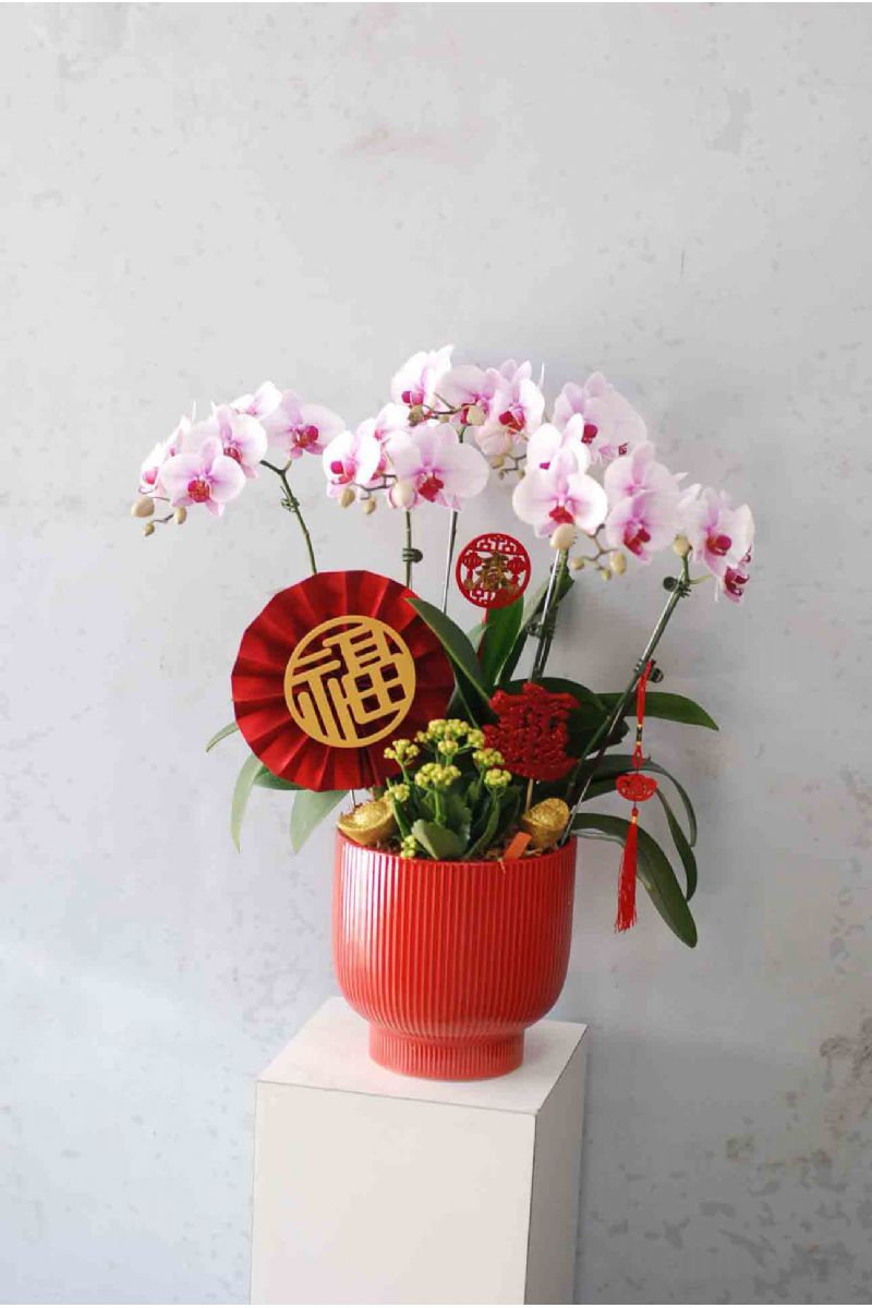金馬迎來富滿堂
