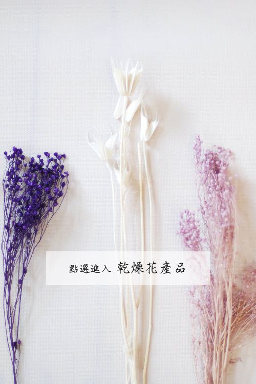 永生不凋花