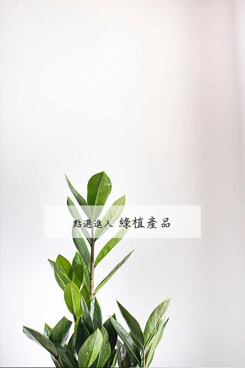 植物