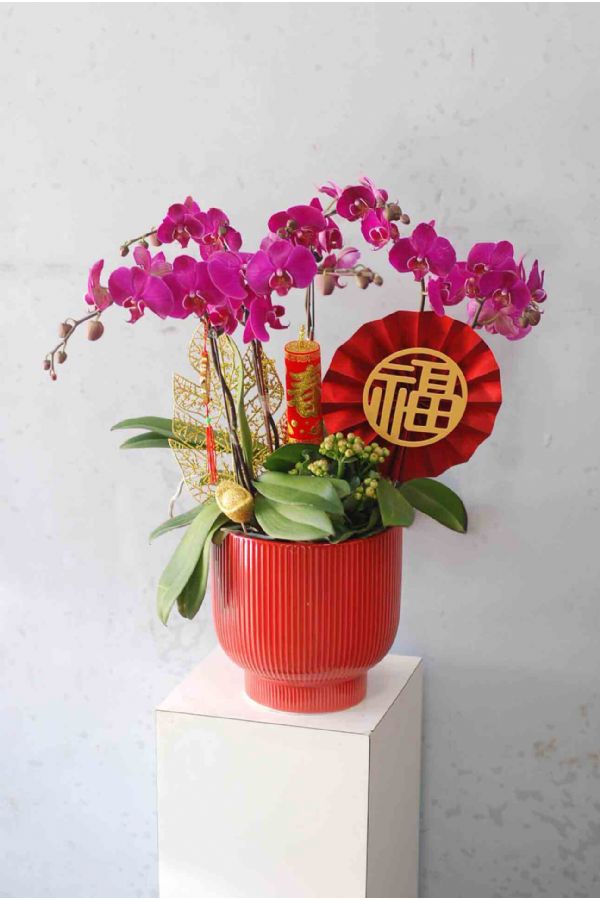 金馬迎來富滿堂