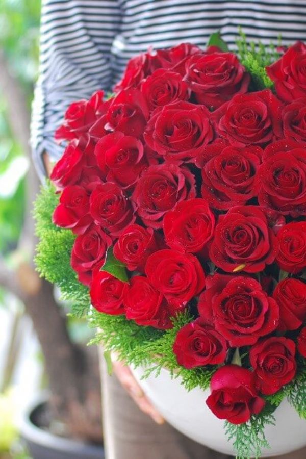 豪華愛心盆花