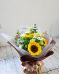 陽光朝氣向日葵Sunshine Blooms