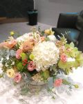 橙色系歡欣盆花Delivering Luxury