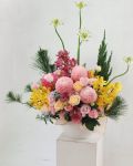 橙色系歡欣盆花 Bright floral