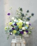 紫藍色系盆花