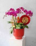 金馬迎來富滿堂